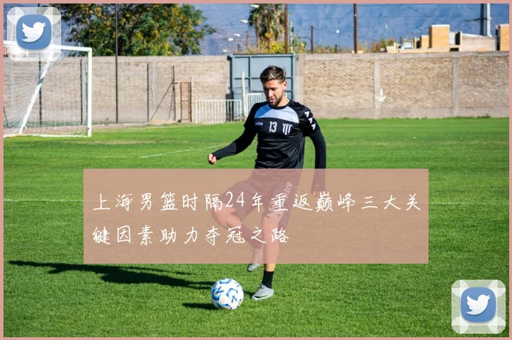 上海男篮时隔24年重返巅峰三大关键因素助力夺冠之路